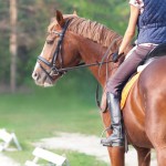 Research Shows Ill-Fitted Saddle Leads To Back Pain In Riders